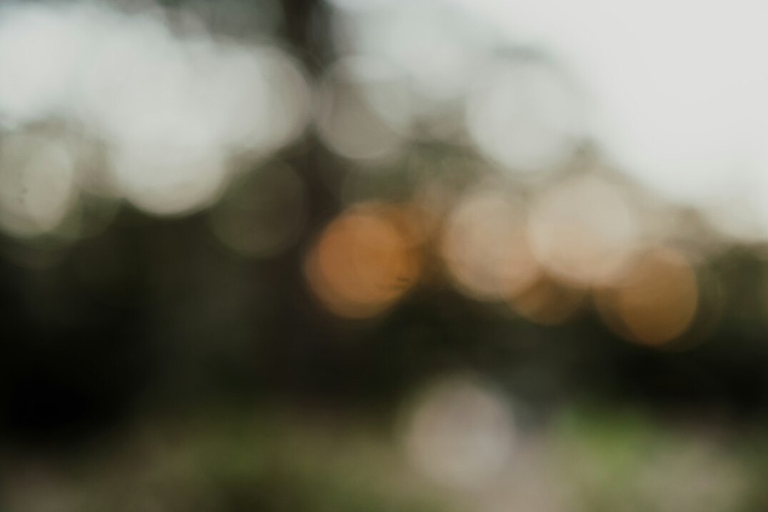 Blurred silhouettes of a crowd in soft bokeh light