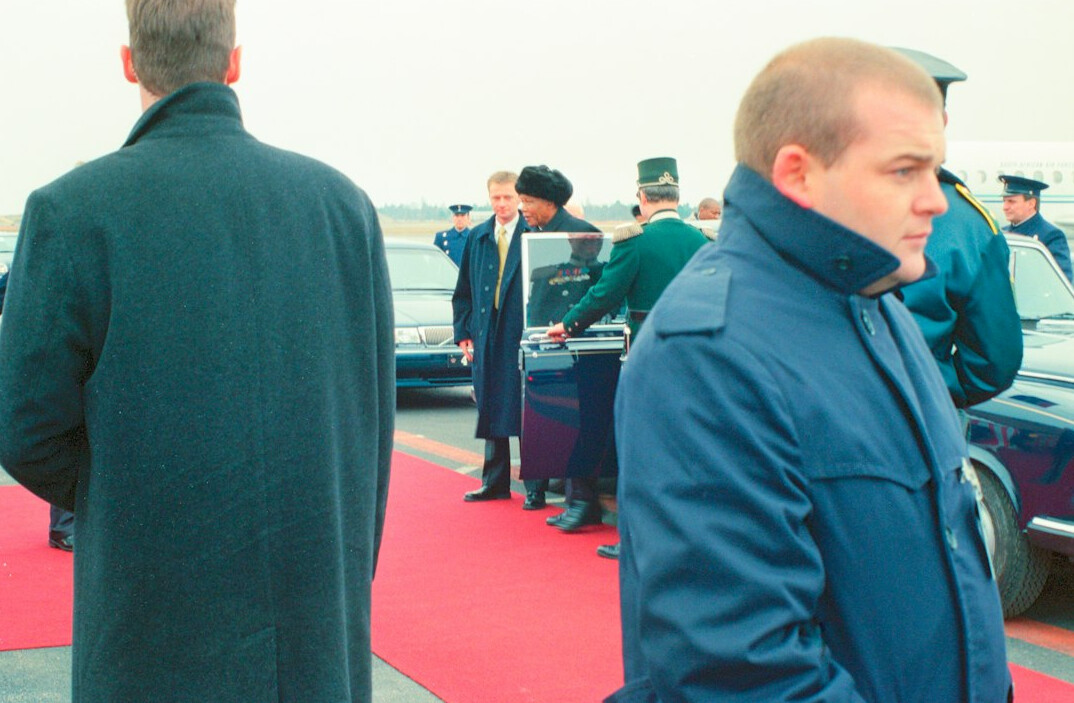 celebrity on red carpet